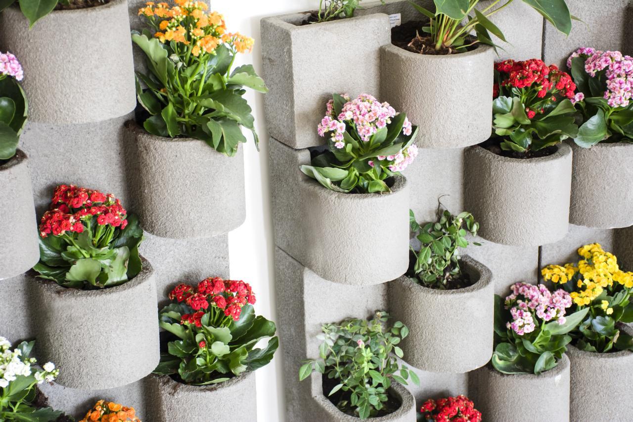 Radisson Blu Resort, Al Khobar הלף מון ביי מראה חיצוני תמונה Vertical garden